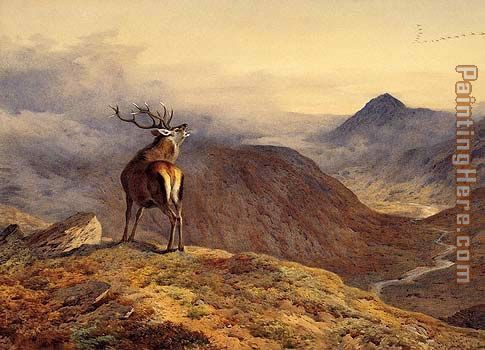 Voices of the Forest painting - Archibald Thorburn Voices of the Forest art painting